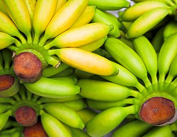 Как хранить бананы в домашних условиях, чтобы зеленые стали желтыми, а желтые не стали черными