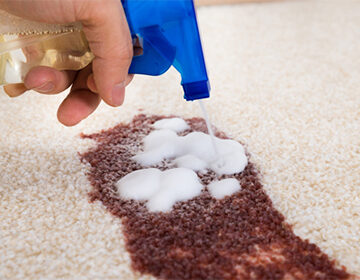 Чистка ковра в домашних условиях: сезонная обработка снегом, средства для белых и темных покрытий, способы повысить эффективность бытовой химии