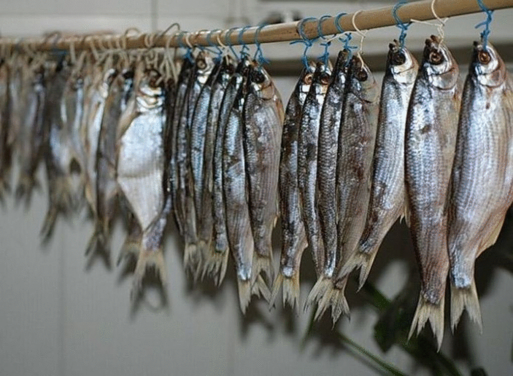 Как долго рыба может лежать в холодильнике