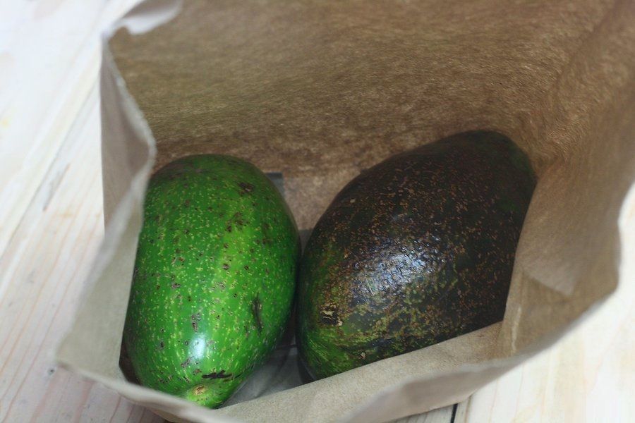 Что делать чтобы авокадо дозрело. Недоспелый авокадо. Дозреть авокадо. Авокадо в холодильнике. Хранение авокадо.
